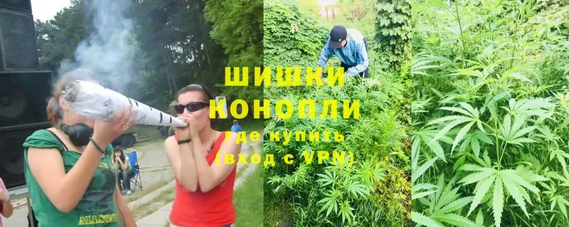 Бошки марихуана White Widow  Вяземский 